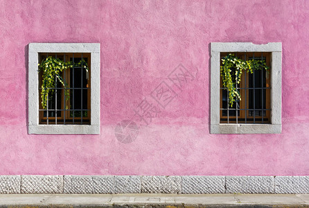 以紫色油漆的历史建筑外墙壁窗户装有背景图片