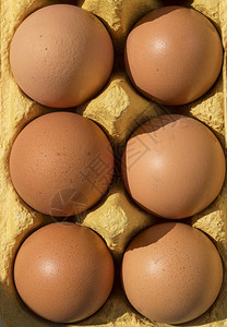 6个鸡蛋在包的顶图片