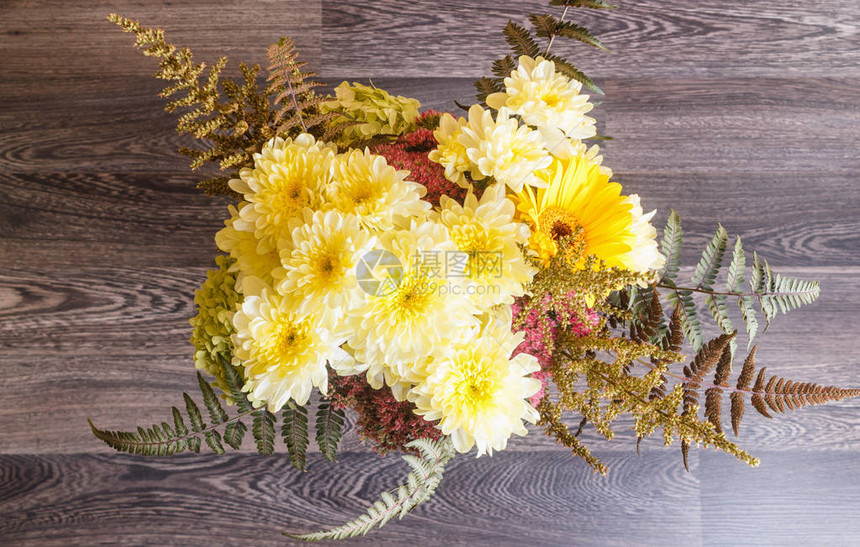 木制背景的雪贝拉花和菊花图片
