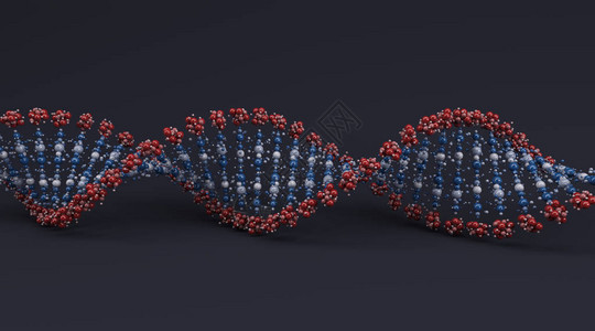 DNA螺旋的背景图片
