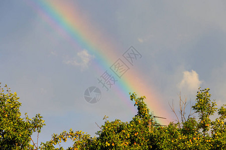 雨后天上的彩虹图片