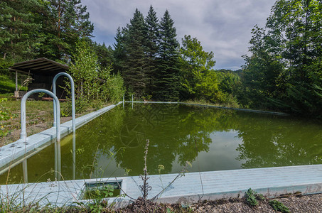 森林废弃游泳池的绿水图片