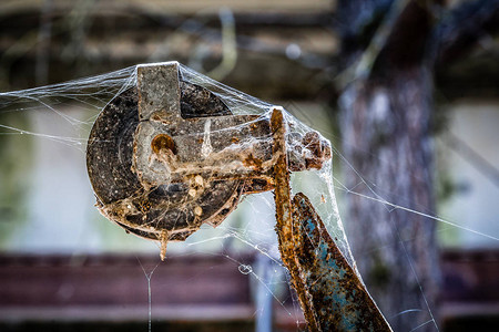 在白俄罗斯切尔诺贝利禁区一个废弃农场使用蜘蛛网的图片