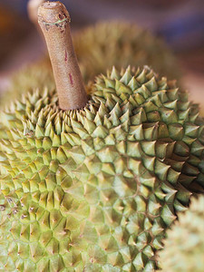 榴莲泰国水果有尖刺图片