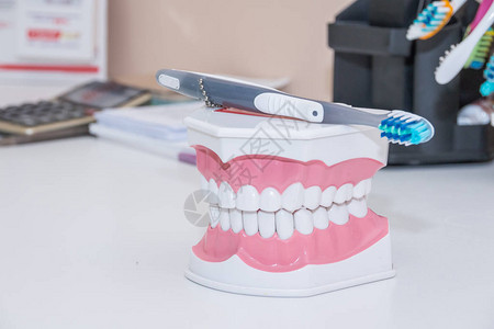 牙刷清洁牙齿假牙齿切割牙齿模型图片