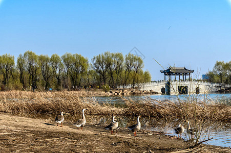 全湿地公园Changchun图片