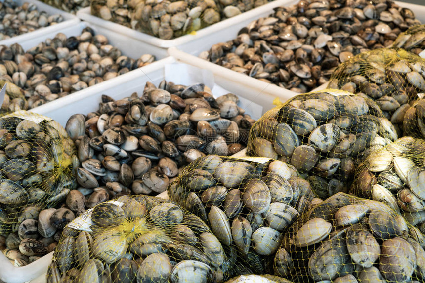 在西班牙圣地亚哥德孔波斯特拉市场上出售的箱子上新鲜的蛤图片