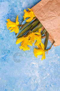 蓝色大理石背景上的水仙花是黄色的图片