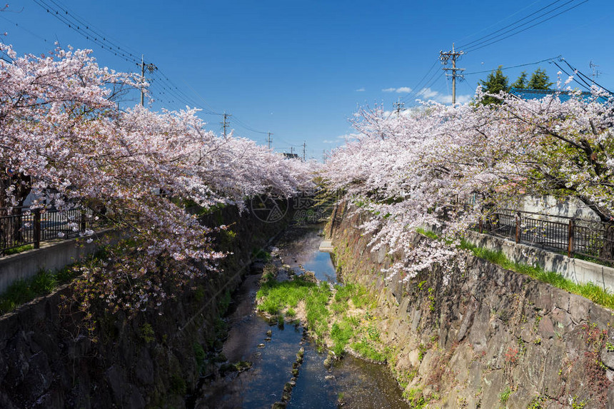 日本名古屋五条河沿岸四季之道图片