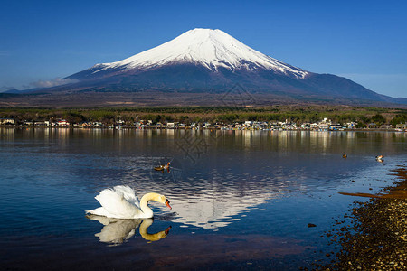 漂浮在日本山梨县富士山上背景图片