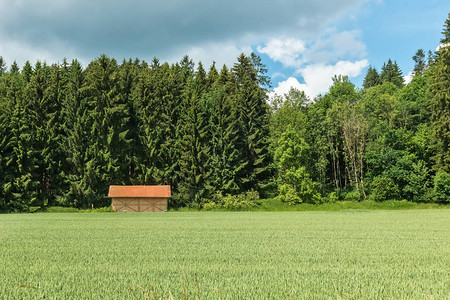 在德国巴伐利亚的Meadow与WoodenHut一图片