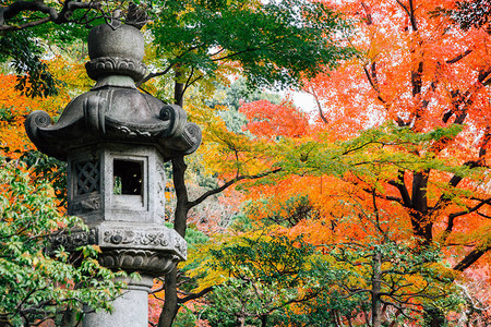 日本传统石灯秋天在日本东京的庆福川花图片