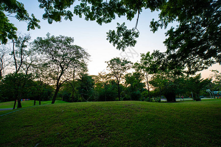 绿色城市公共园有草地自然景图片