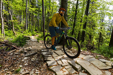 山地骑自行车在春山森林景观中骑脚踏车图片
