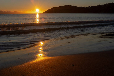 新西兰Waiheke岛海滩上的金色日落高清图片