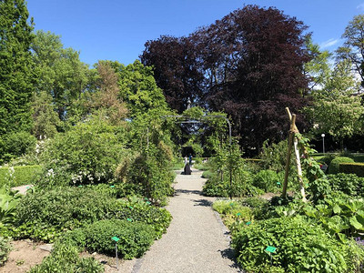 克罗伊茨林根的公园和植物园Seeburgpark高清图片