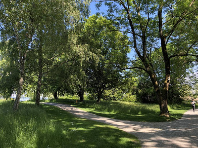 克罗伊茨林根的公园和植物园Seeburgpark高清图片