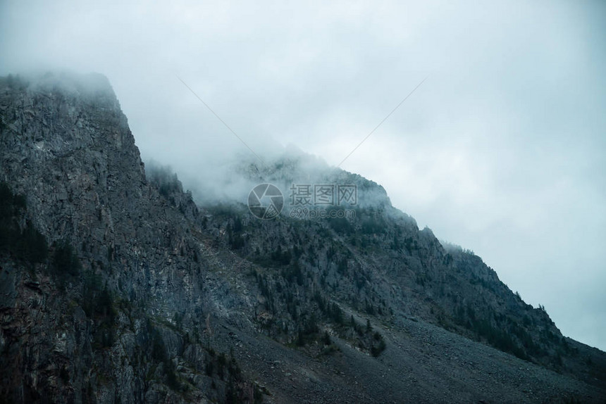 幽灵般的巨石与浓雾中的树木迷雾中的神秘巨山在山的清晨无法穿透的雾黑暗大气怪异的景观宁静神图片