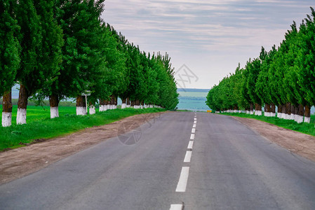 俄罗斯的现代路口图片