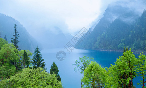 九寨沟湖和森林树木在图片