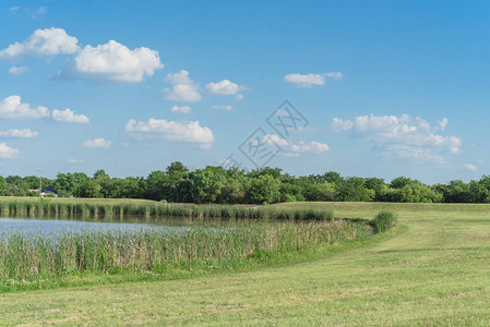 美国得克萨斯州达拉斯市郊区美丽的山坡邻里公园Reeds工厂和围绕池塘云蓝天空下地平线一排背景图片