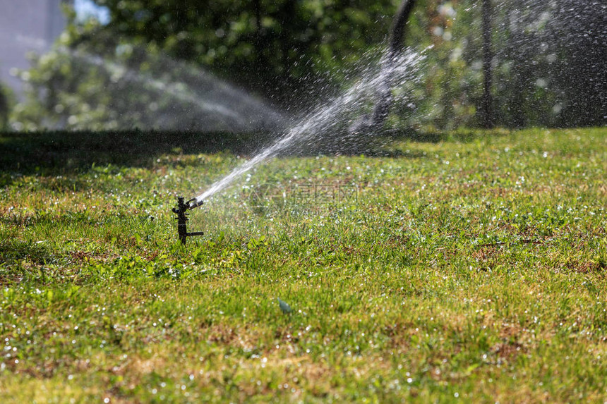 草坪洒水器喷水图片