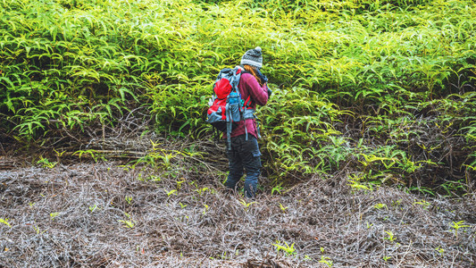 摄影师亚洲女人旅行照片自然旅行在假期放松在森林里散步旅行在假图片