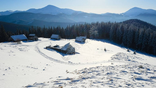 雪盖山和松树林的全景图片