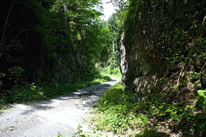 伊兰诺夫斯卡谷地的大型岩石交叉处图片