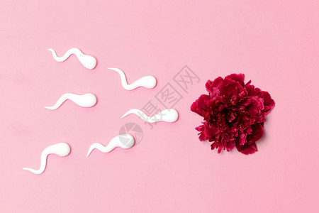 体外受精人工授精的医学概念具有塑料精子形图片
