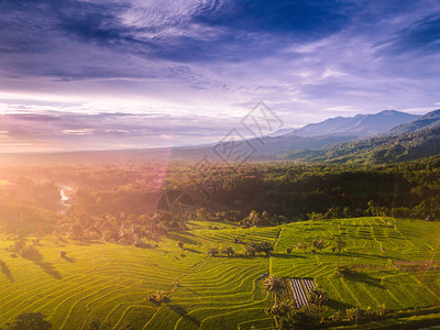 Bengkulu省北部的Bengkulu图片