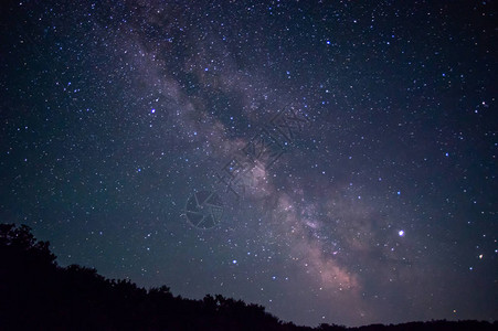 夏日夜晚树上的星空图片