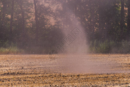 小龙卷风或带尘土的旋风在田野中图片