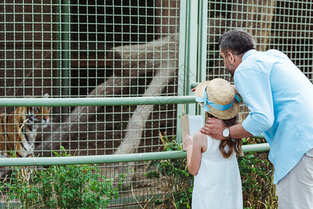 孩子和爸站在动物园看图片