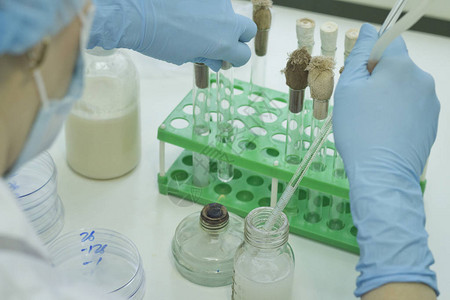 科学家在实验室进行研究生物技术图片