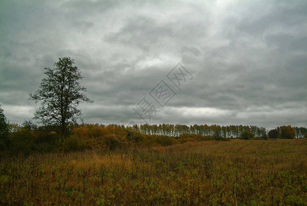俄罗斯乡村多云的秋夜图片