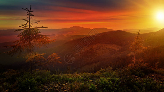 美丽的景色日落自然山地人Carpa图片