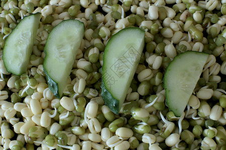 发芽的绿豆和黄瓜新芽素食者和生食大量绿豆和黄图片