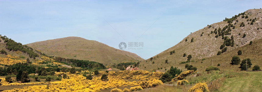 淡蓝色的天空上覆盖着群山和黄色的花朵塞拉德本塔纳布宜诺斯艾图片