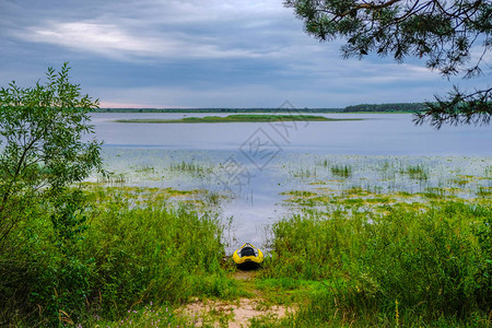 乌克兰Lyubyaz湖沼泽岸上的黄皮艇图片