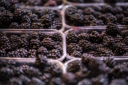 在周末农民市场显示背景模糊的新鲜黑莓鲜黑果图片