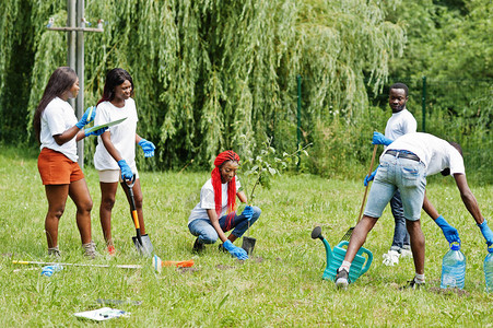 一群快乐的非洲志愿者在公园植树非洲志愿工作慈善人民和生态概念图片