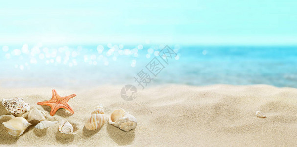沙滩的景色沙子里的贝壳图片