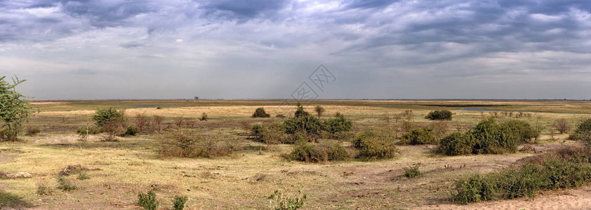在与博茨瓦纳赞比西河汇合前的旱季末期图片