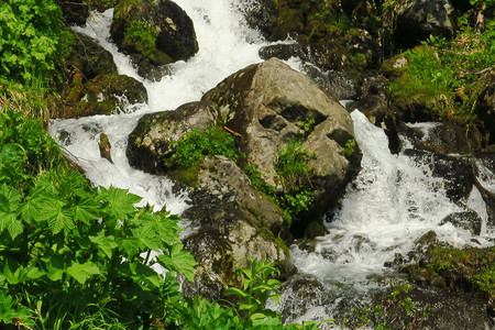 森林河涧水缓流淌长满苔藓的河流溪岩石生苔森林河溪流视图福图片