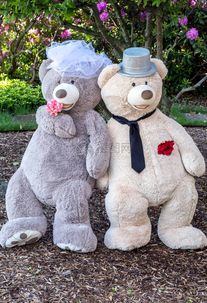 准备结婚的泰迪熊夫妇全长肖像穿着婚图片