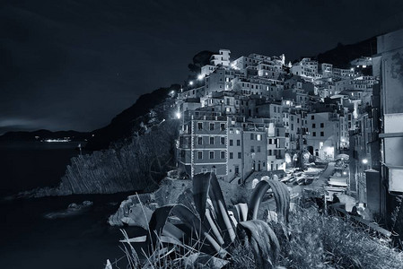 Riomaggiore海边黑白风景图片