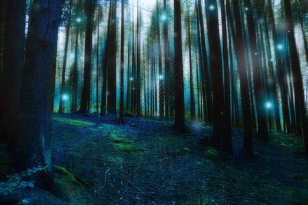 神奇的超现实森林景观图片