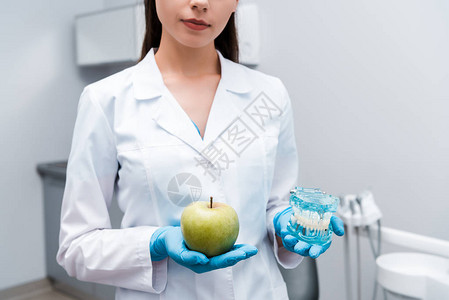 持有牙齿模型和美味苹果的牙科医图片