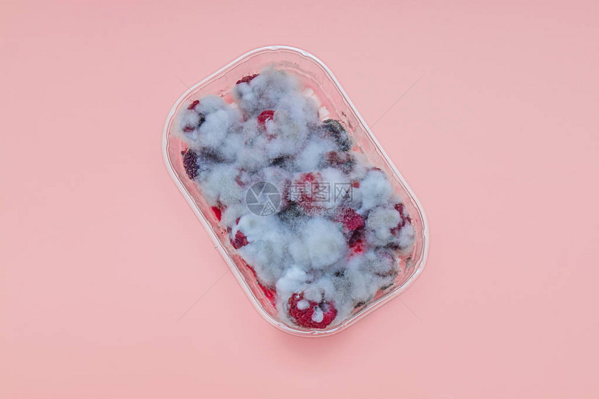 以粉红色背景隔离的塑料箱中腐烂的马发草莓图片